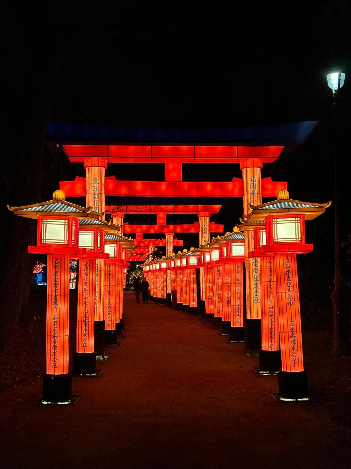 Festival de Lanternes